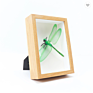 High- Wood-Based Panel 3D Diy Single Photo Wooden Picture Frame Photo Frames for Specimen