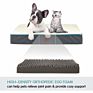 High Resilience Foam Dog Bed Crate Mat Kennel Pad with Soft Warm Plush, Anti-Slip Washable Mattress for Pets