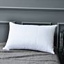 Hotel Style Popular Quilted Pillow and Fluffy Comfort Pillows 100% Polyester Fiber 40 Neck Rectangle Solid 100% Cotton 0.5-1 Kg