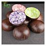 Hottest Selling Eco-Friendly Natural Coconut Shell Bowl for Candle from Vietnam