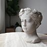 Human Head Face Pot Plant Garden Planter Cement Flower Pot