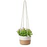 Indoor Rattan Durable Hanging Plant Baskets Flowers Pot Hanging Pots for Garden with Rope Handle