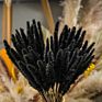 Ins Most Popular Decoration Dried Flowers Pampas Grass Black Pampas for Home or Weddings Decoration