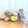 Cat Flash Ball