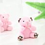 Kawaii Small Teddy Bear Plush Toys Stuffed Animals Small Bear