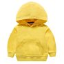 Kids Fall Clothing 100% Cotton Kids Clothes Blank Unisex Girl Boy's T Shirts Kid Hoodie Hoodies