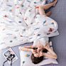 Luxury Simple Quilt Cover Bedding Set 100% Cotton Twill Small Fresh Double Bed 4 Pcs Bed Sheet Set