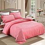 Luxury Super Soft Velour Queen 3 Pieces Embroidery Bedding Set Duvet Quilt