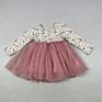Lz Children Pink Rainbow Printing Tutu Dress for Kid Valentines Day Longsleeve Baby Girl Dress Party Dresses