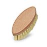 Masthome Eco-Friendly 5Pcs Kitchen Brush Set All Natural Fibre Wooden Floor Vegetable Dish Bottle Pot Brush Sisal Cleaning Brush