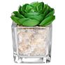 Mini Clear Glass Cube Planters Display Vases Artificial Succulent Plant Pots for Indoor Plants