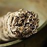 Natural California White Sage Smudging Wands Sticks for Leaf Smoky Purification