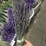 Natural Dried Lavender Flowers Packed in Buches for Home Decoration