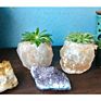 Natural Pink Crystal Salt Air Plant Holder Pots