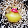 Packing Organic and Natural Ingredient Duck Shape Soap
