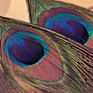 Peacock Feather Pendant Earrings Women National Style Earring