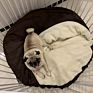Pet Accessories Washable Cozy Snoozer Luxury Cat Bed Large round Snuggery Blanket Burrow Dog Cave Bed
