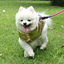 Pet Clothing for Dog Clothes Waterproof Small Dogs Pets Clothing for French Bulldog Puppy Jacket Dogs Vest