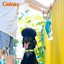 Pet Outdoor Walking Silicone Foldable Dog Water Bottle