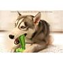 Pet Supplies Pet Dog Toothbrush Toys