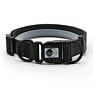 Pet Supplies Reflective Pvc Coated Nylon Strap Cute Flea and Tick Dog Collar for Dogs Cats