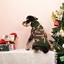 Pet Sweater Dog Clothes Knit Pet Sweater Christmas Pet Dog Sweater Holiday