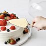 Pie Pizza Cake Cutter Stainless Steel Cake Server Wedding Cake Knife and Server Set