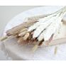 Popular Small Natural Dried Pampas Grass Bouquet for Decoration