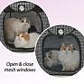 Portable Large Stress Free Kennel/Cage and Litter Box Set Lightweight Cat Travel Litter Carrier Kitties Travel Cage