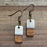 Premium Look Woman Jewelry Earring Design Wooden Resin Woman Earring