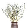 Product Plant Dry Eucalyptus Berry Dried Eucalyptus Leaves Bouquet
