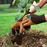 Pruner Pruning Shears and Puncture Proof Gardening Gloves with Claws, Garden Cutter Clippers Garden Secateurs