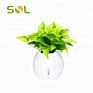 Sol Self-Watering Plant Natural Air Humidifier Planter Smart Indoor Herb Garden Ecological Negative Anion Flower Pots