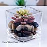 Stock Clear Glass Bud Flower Square Cube Vase
