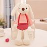 Stuff Peter Fluffy White Pink Cute Brown Stuffed Animal Plush Mascot Easter Lovely Rabbit Doll Soft Sleeping Bunny Toys