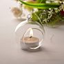 Terrarium round Globe Shape Clear Hanging Glass Vase Flower Plants Terrarium Container Micro Landscape
