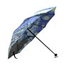Van Gogh Umbrella
