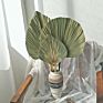 Wild Autumn Palm Tree Natural Color Dried Palm Leaves for Wedding Decoration Home Decoration