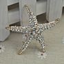 Woman Gift Clear Crystal Customized Mixed Colorful Full Rhinestone Starfish Pins Men Brooch