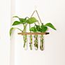Wooden Stand Popular Hanging Planter Vase Glass Tube Hanging Plant Terrarium Container