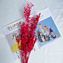 Yunnan the Most Popular Preserved Dried Italian Bleached Ruscus Leaves for Wedding Home Decoration
