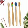 100 % Healthy Eco Organic Charcoal Bamboo Toothbrush with Bpa Free Bristle