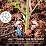 100% Organic 650G Compressed Coco Coir Peat Brick Pith for Harvesting