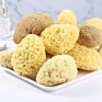 All Natural Renewable  Sea Wool Honeycomb Sea bath Sponge