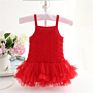 3M 6M 9M 12M 18M 24M Baby First Birthday Party Dress Sleeveless Crew Neck Flowers Girl Dress