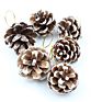 9 Pcs White Tipped Natural Christmas Hanging Pine Cones Ornaments for Home Wedding Decorations