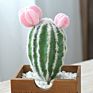 Artificial Mini Succulent and Cactus Succulent Pots Plant for Home Decoration