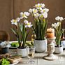 Artificial Plants in Pots Daffodils Artificial Flower Plant Desktop Artificial Flowers Artificial Plants and Flowers