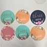 Baby Milestone Sticker Baby Monthly Sticker on Seller