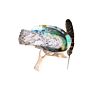Blue Abalone Shell Smudge Kit Spiritual Set with Sage Feather Stand for Cleaning Negative Energy